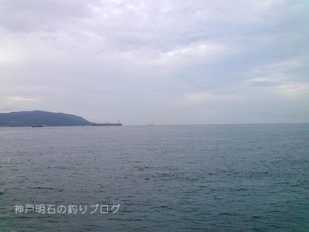 サビキと紀州釣りとイカ釣りと