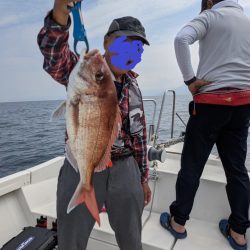 ヒラメにヒラソにマダイにサワラ