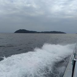 エビでコブダイ小