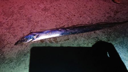 ようやく初タチ