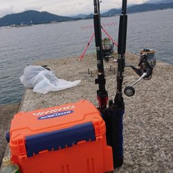 二人で青物狙い☺