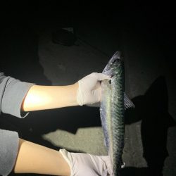 でかっ！！初めての、、、