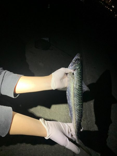 でかっ！！初めての、、、