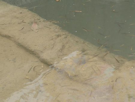 小物釣りで気分転換