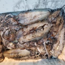 なかなかサイトには出てくれませんでした( ノД`)…