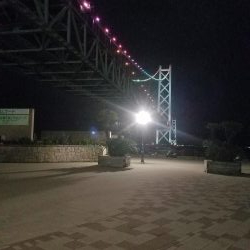 ようやくいいサイズのアオリ