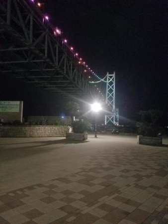 ようやくいいサイズのアオリ