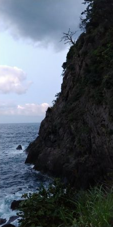 初心者磯釣り師ハマチを釣るの巻き