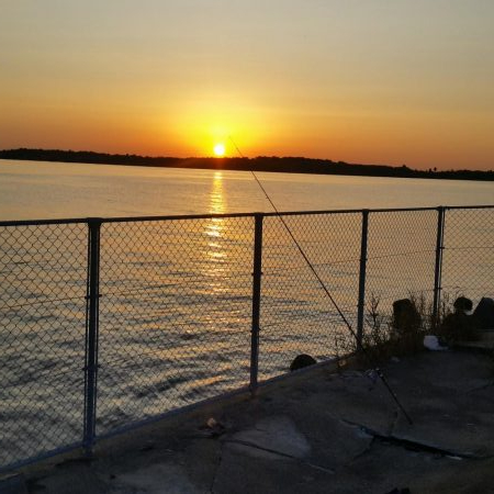 プチsalt water game＆サビキ釣り