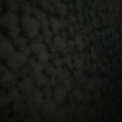 激流渋々エギング