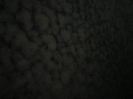 激流渋々エギング