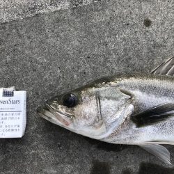 仕事終わりの短時間釣行其の四