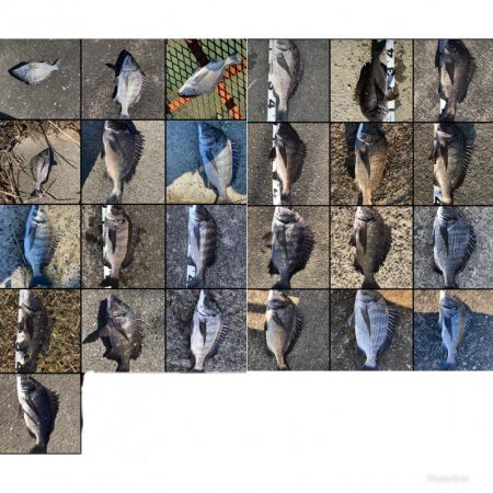 イチノ兄弟、釣果！