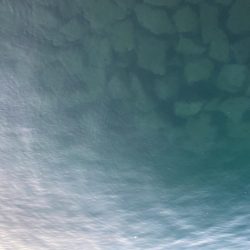 メバリング&LSJ！