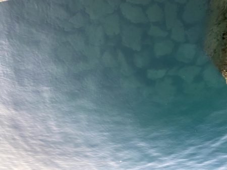 メバリング&LSJ！