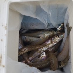 今日は、遅い出発。