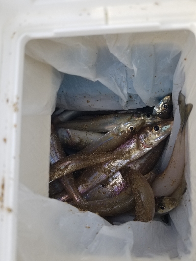 今日は、遅い出発。