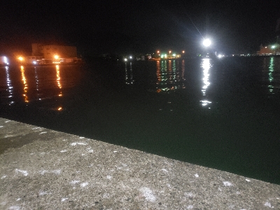 短時間アジング