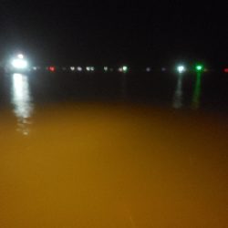 アジング&ショアジギング