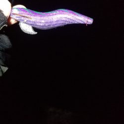 偽情報対策これが千田漁港だよ