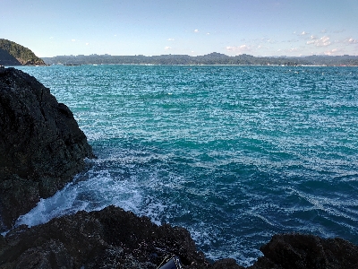 樫野でグレ釣り