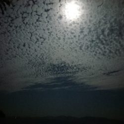 ムーンライトエギング