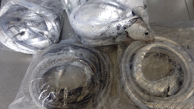 やっと今年初物が釣れました！！