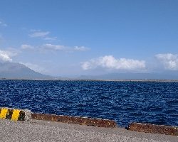 朝マズメと真っ昼間で合わせて3本