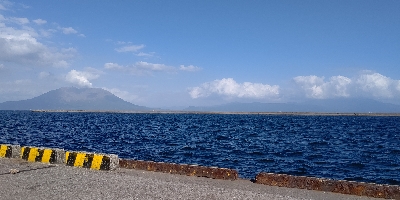 朝マズメと真っ昼間で合わせて3本