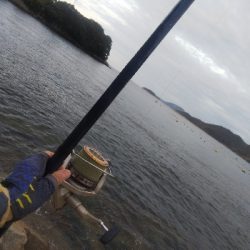 室津のキス釣り