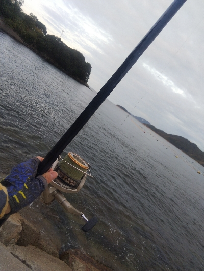 室津のキス釣り