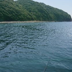 今年２回目のカワハギ狙い