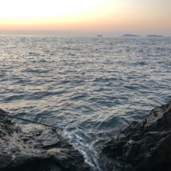 ロックショアで朝まづめ