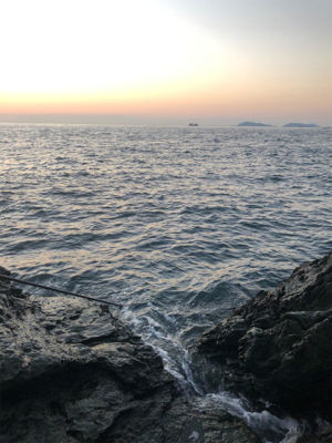 ロックショアで朝まづめ