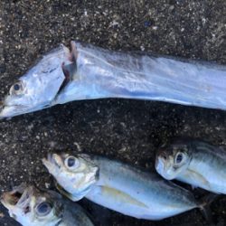 呪縛からの解放