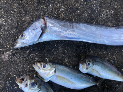 呪縛からの解放