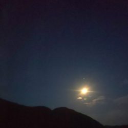 本当に秋イカか?