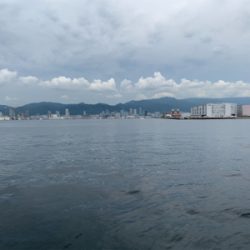 神戸沖堤釣行