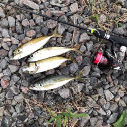 やっと秋突入！