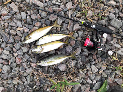 やっと秋突入！