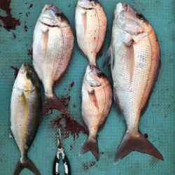 なかなか調子がいいですね