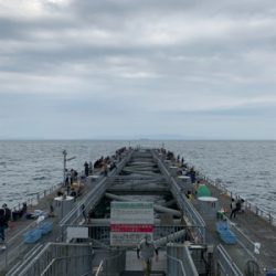 初とっとパーク