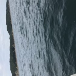 エサとルアーで