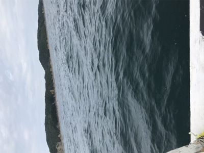 エサとルアーで