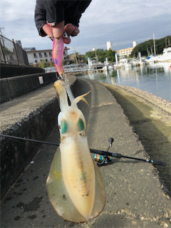 あきらめムードから一転❗️新子連発?❗️❗️