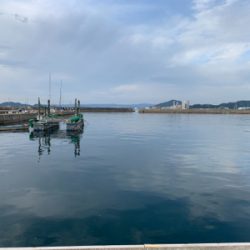 アジングのつもりが…