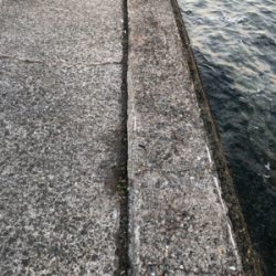 少しサイズが良くなってきた？