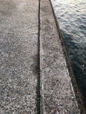 少しサイズが良くなってきた？