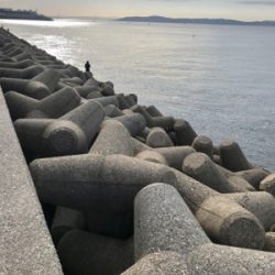 久しぶりの数釣りエギング\(^o^)/