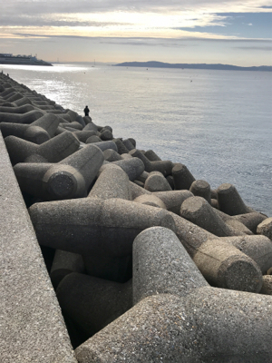 久しぶりの数釣りエギング\(^o^)/